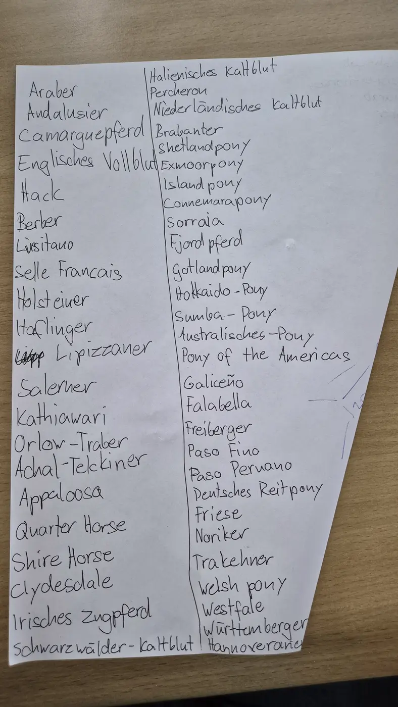 Handgeschriebene Liste mit über 50 Pferderassen aus Elainas Heft