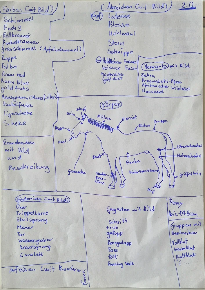Grosse Ideensammlung mit Fellfarben, Abzeichen, Körperteilen, Hindernissen und Gangarten